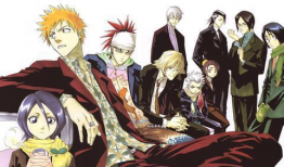 死神    动漫,跨越时空的羁绊与战斗